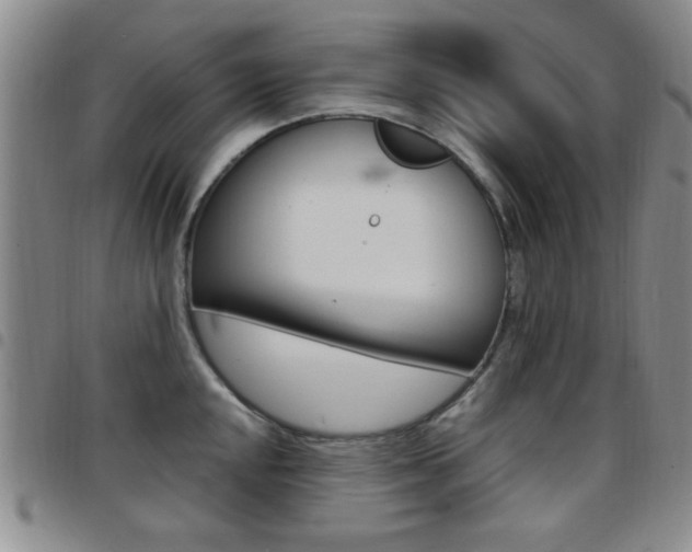 X0000097921048200803141026
