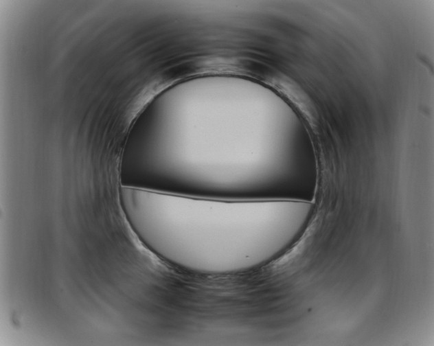 X0000097921049200803141026