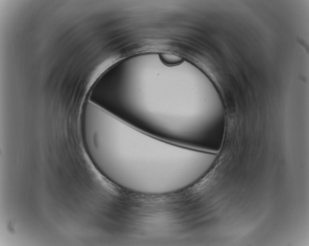 X0000097921050200803141026
