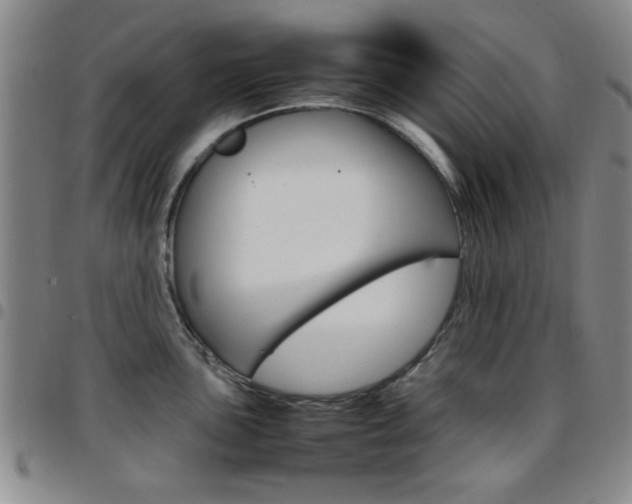 X0000097921051200803141026