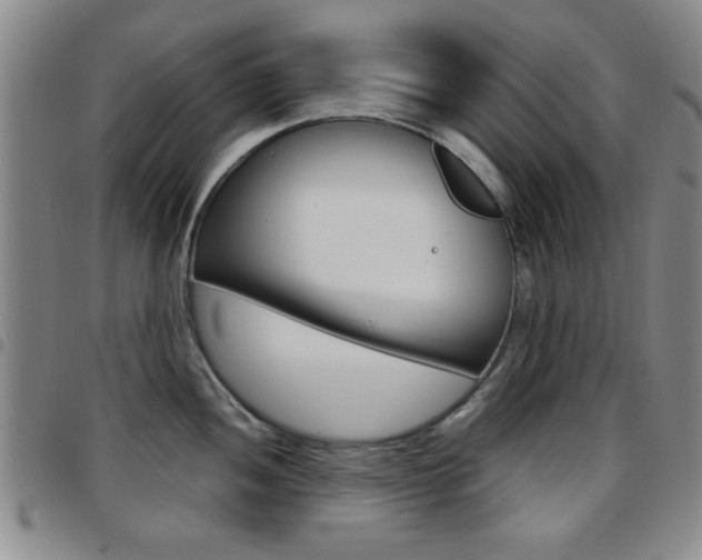 X0000097921052200803141026