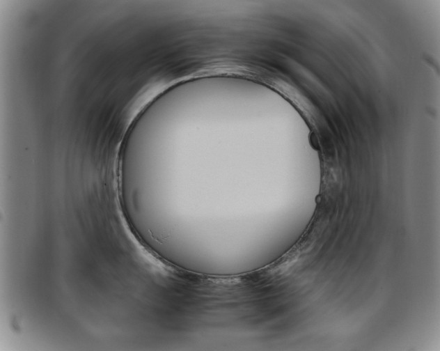X0000097921055200803141026