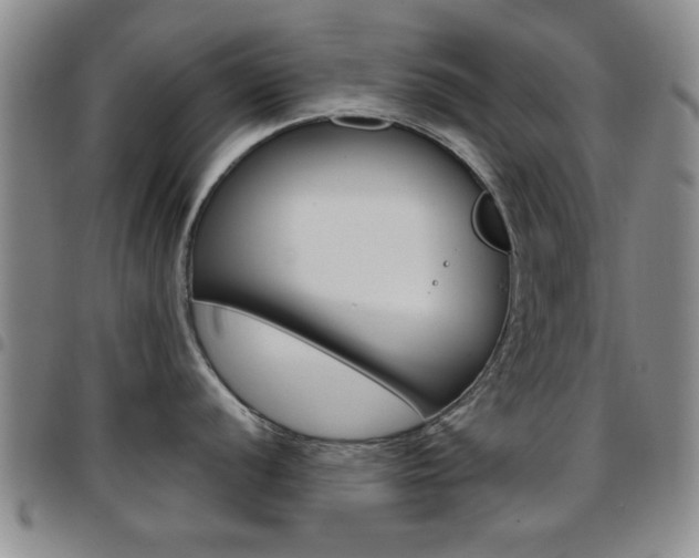 X0000097921056200803141027