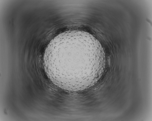 X0000097921059200803141026