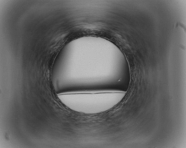 X0000097921061200803141026