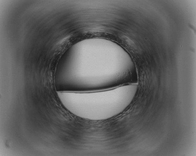 X0000097921062200803141026
