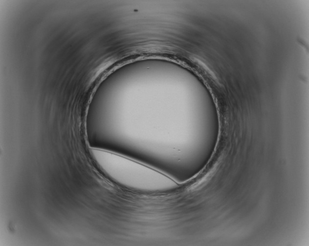 X0000097921065200803141026