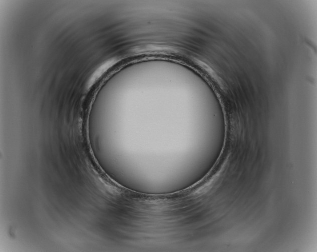 X0000097921066200803141026