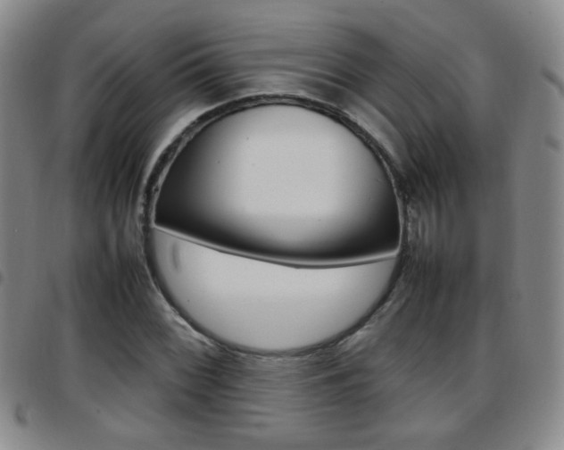 X0000097921068200803141026