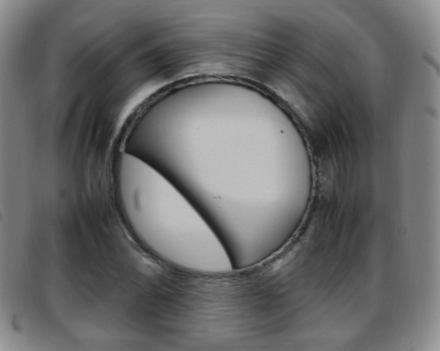 X0000097921070200803141026