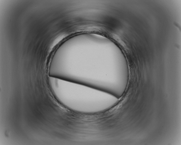 X0000097921071200803141026