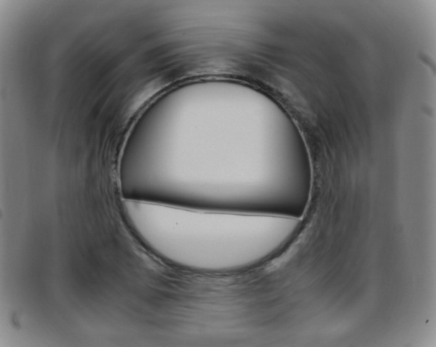 X0000097921073200803141026