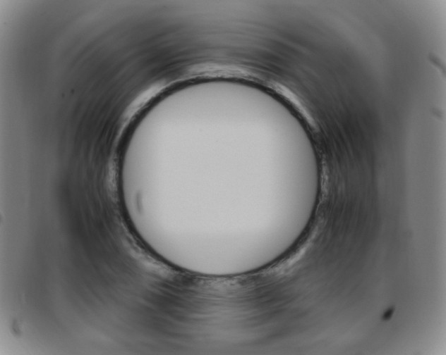 X0000097921074200803141026
