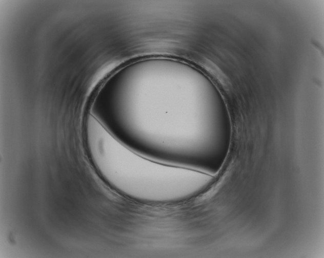 X0000097921077200803141026