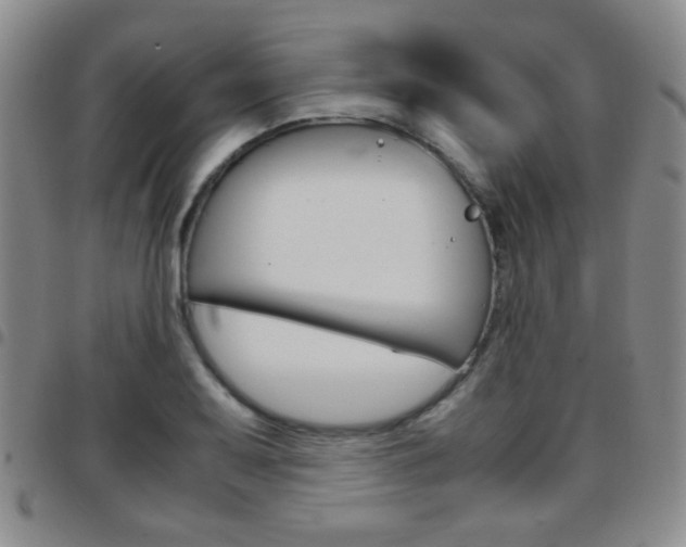 X0000097921079200803141026