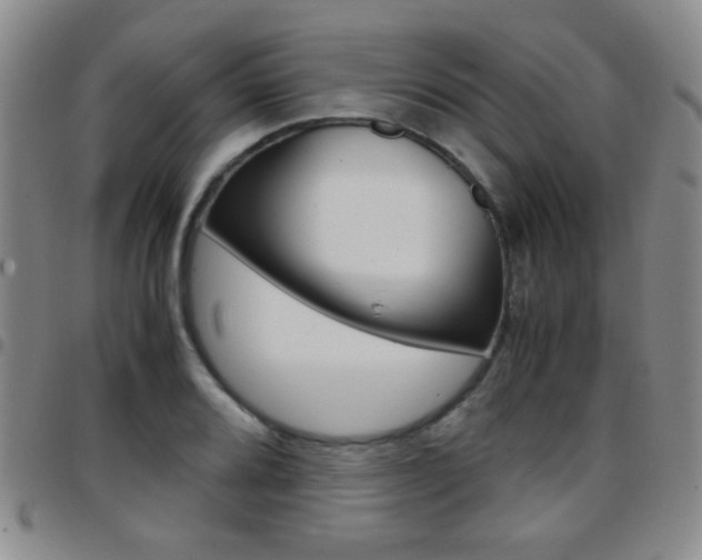 X0000097921080200803141026