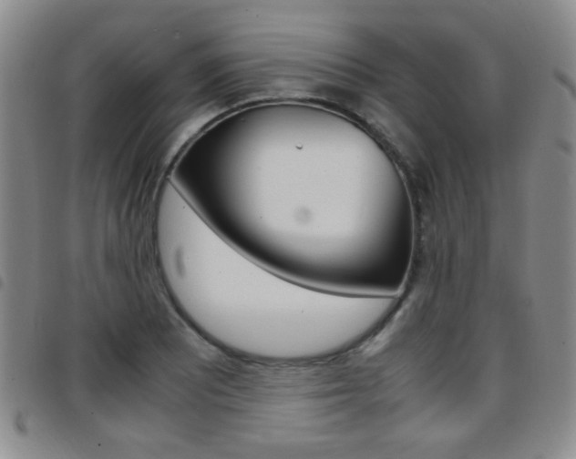 X0000097921081200803141026