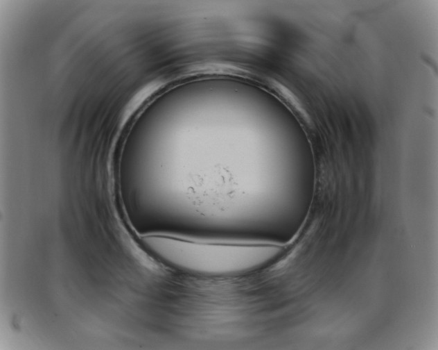 X0000097921082200803141026