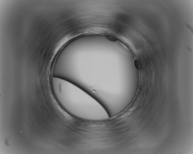X0000097921083200803141026