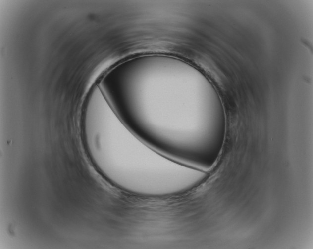 X0000097921085200803141025