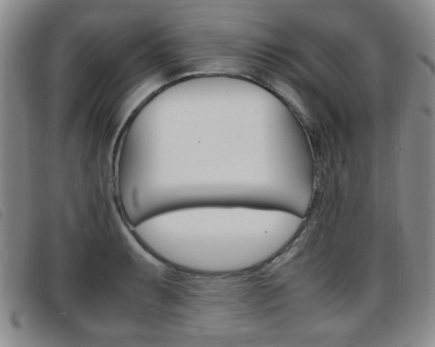 X0000097921087200803141025