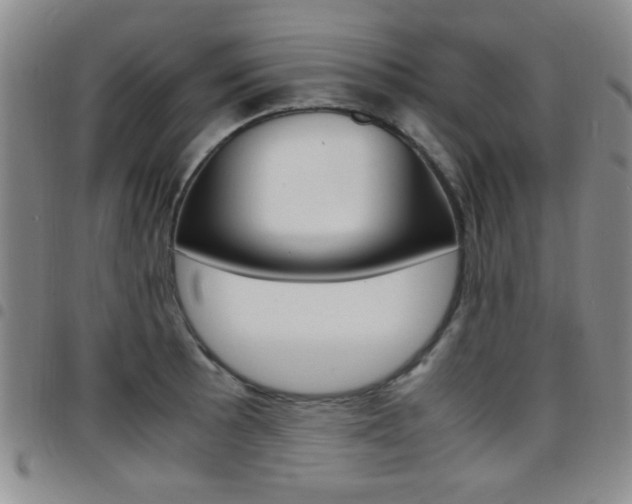 X0000097921089200803141025