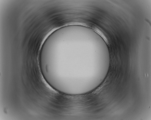 X0000097921092200803141025