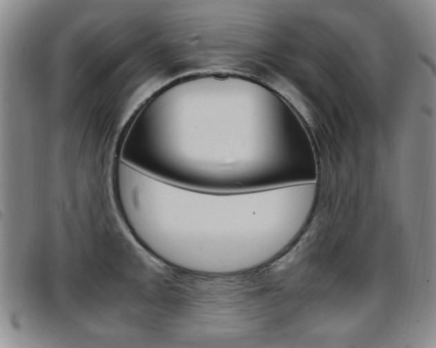 X0000097921093200803141025