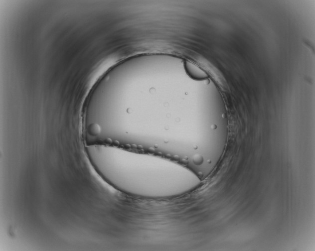 X0000097921095200803141025
