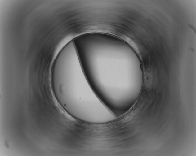 X0000097921096200803141025