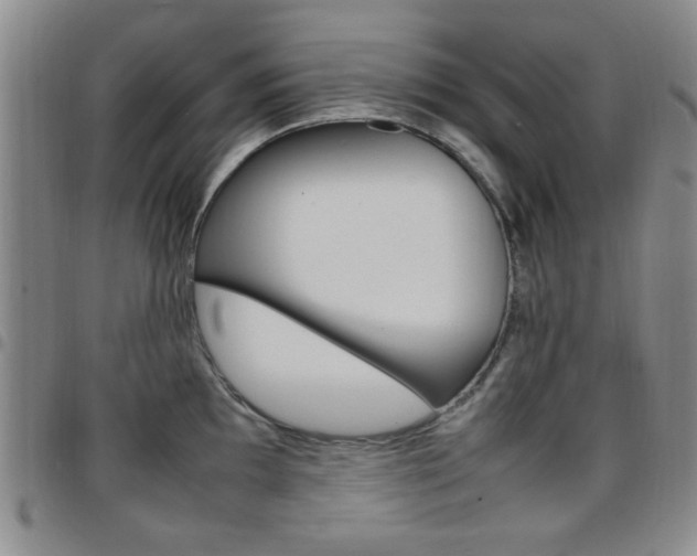 X0000097921097200803141025