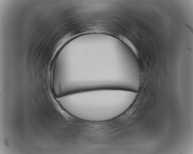 X0000097921099200803141025