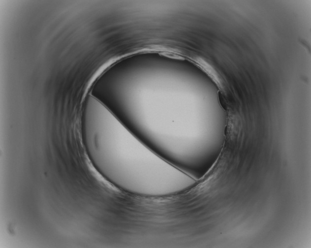 X0000097921100200803141025