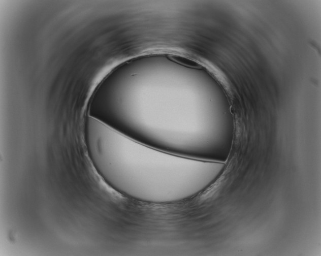 X0000097921102200803141025