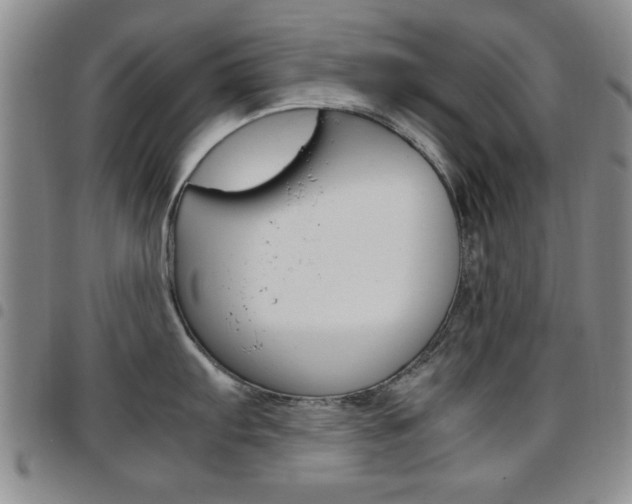 X0000097921103200803141025