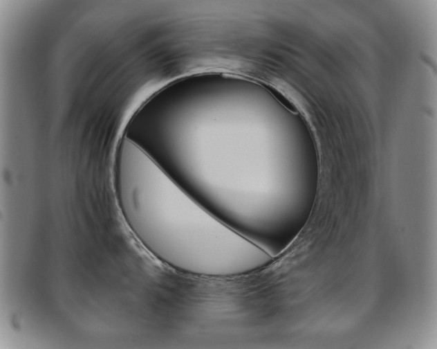 X0000097921104200803141025