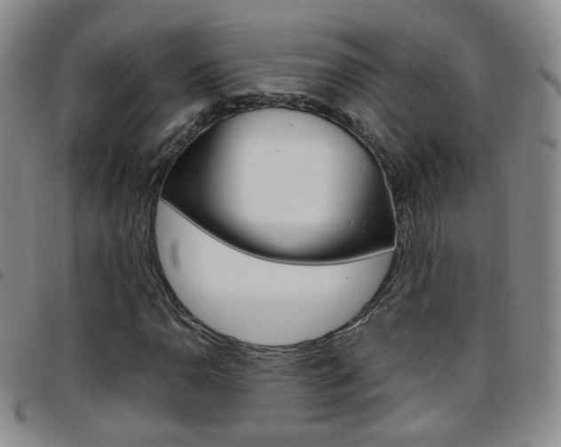 X0000097921110200803141025