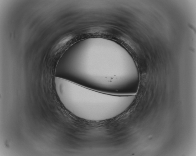 X0000097921111200803141025