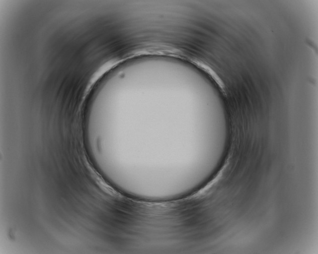 X0000097921114200803141025