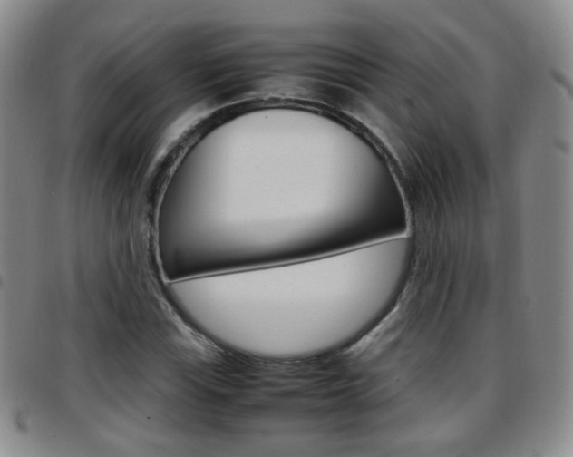 X0000097921115200803141025