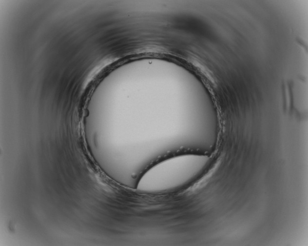 X0000097921117200803141025