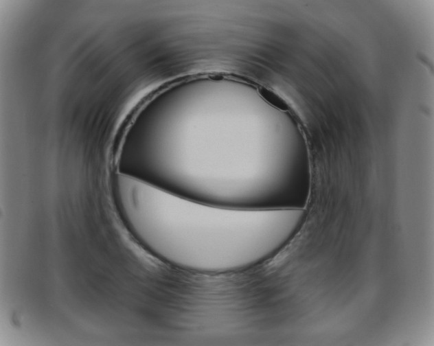 X0000097921124200803141025