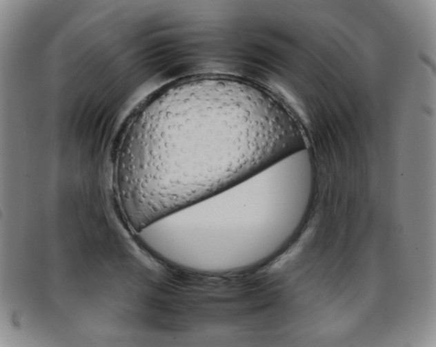 X0000097921125200803141025
