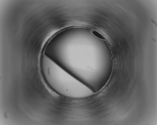 X0000097921128200803141025