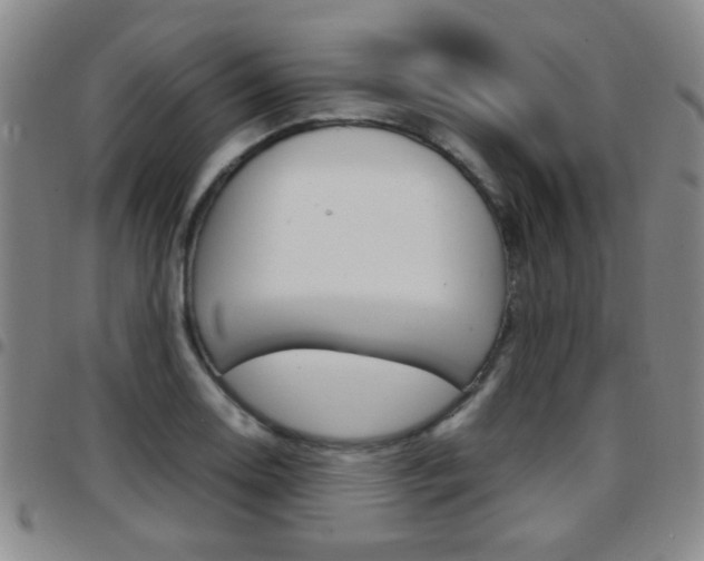 X0000097921130200803141025