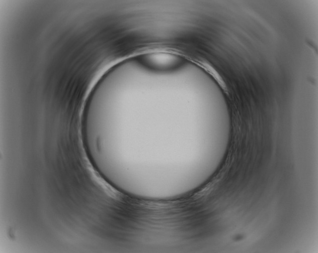 X0000097921132200803141025