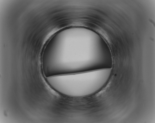 X0000097921133200803141025
