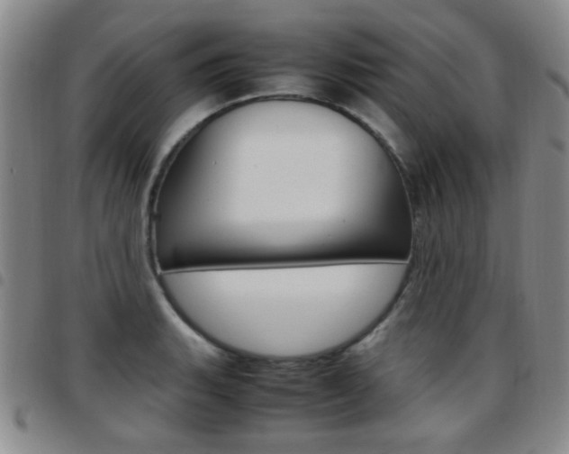 X0000097921135200803141025