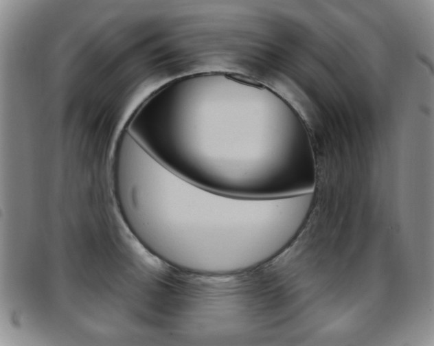 X0000097921140200803141025