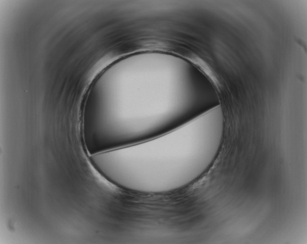 X0000097921143200803141025